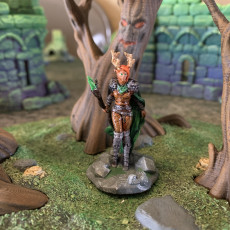 Picture of print of Archfey