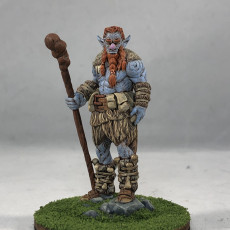 Picture of print of Firbolg
