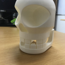Picture of print of Chompy Skull!  Print-in-place noisy hinged-jaw skull! This print has been uploaded by Severino