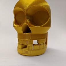 Picture of print of Chompy Skull!  Print-in-place noisy hinged-jaw skull!
