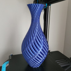 Picture of print of Fern Vase