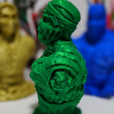 Picture of print of Reptile Ninja - Support free bust This print has been uploaded by Felipe Sabino