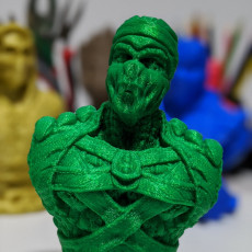 Picture of print of Reptile Ninja - Support free bust This print has been uploaded by Felipe Sabino