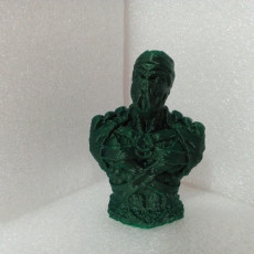 Picture of print of Reptile Ninja - Support free bust This print has been uploaded by daniel salvini