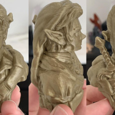 Picture of print of "Link" from the videogame "Zelda" (support free bust)