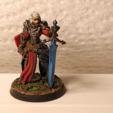 Picture of print of Joan - High Paladin - 2 Model - PRESUPPORTED - 32mm scale