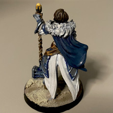 Picture of print of Joan - High Paladin - 2 Model - PRESUPPORTED - 32mm scale