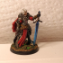 Joan High Paladin - Heaven Hath no Fury - DnD - 32mm [Pre-supported] print image