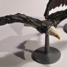 Picture of print of Roc - 3 Giant Eagles - PRESUPPORTED - 32mm scale