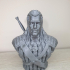 Henry Cavill as "The Witcher" / Support free bust print image
