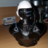 Picard as Locutus Borg from Star Trek (support free bust) print image