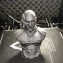 Picard as Locutus Borg from Star Trek (support free bust) print image