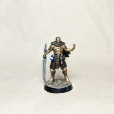 Picture of print of KICKSTARTER - Presupported Shardforged Artificer