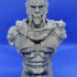 Vampire Warrior (support free bust figure) print image