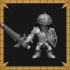 Castle Guard Swordsman image