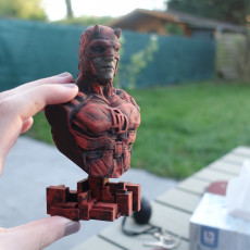 Picture of print of Daredevil from Marvel Comics (support free bust)