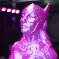 Picture of print of Batgirl from DC Comics (support free)