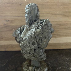 Picture of print of Viking Bust figure (support free) This print has been uploaded by 3D Printing Newbie