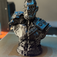Picture of print of Viking Bust figure (support free)