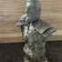 Viking Bust figure (support free) print image