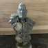 Viking Bust figure (support free) print image
