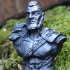 Viking Bust figure (support free) image