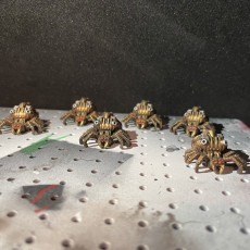 Picture of print of Clockwork Spider