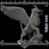 Hawk Sphinx image