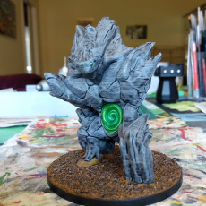 Picture of print of Portal Golem