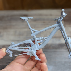 Picture of print of Down Hill Mountain bike 1/10 scale