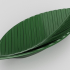 Leaf holder image