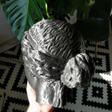 Picture of print of Marble Head of a Sphinx