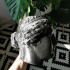 Marble Head of a Sphinx print image