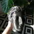 Marble Head of a Sphinx print image