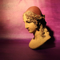 Picture of print of Plaster Bust of Helen