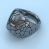 Voronoi cracked ring image