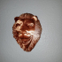 Lions Head Display - wall mount image