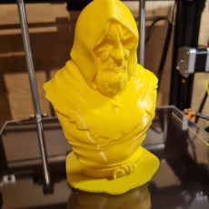 Picture of print of The wanderer Bust