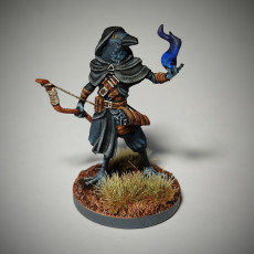 Picture of print of Kenku Rogue