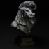 Minotaur bust pre-supported image