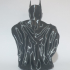 Batman - Bust print image