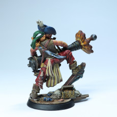 Picture of print of Mad Wren, Cannoneer