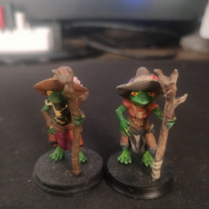 Picture of print of Frogfolk girl mage