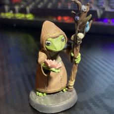 Picture of print of Druid shaman Frogfolk
