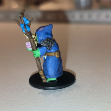 Picture of print of Druid shaman Frogfolk