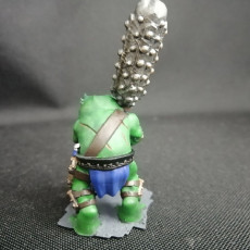 Picture of print of Frogfolk barbarian warrior
