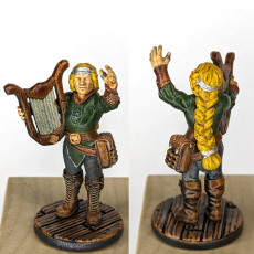 Picture of print of Dwarf girl bard