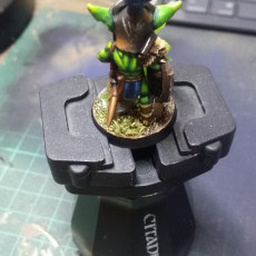 Picture of print of goblin warrior knight. Part of set
