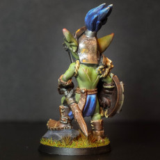 Picture of print of goblin warrior knight. Part of set