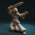 Lion swordmaster image